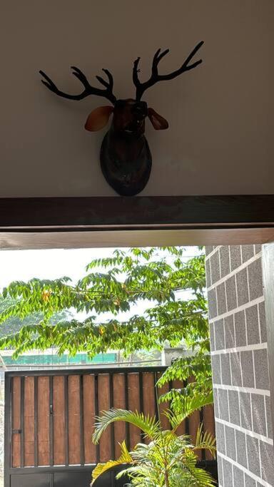 Jumanji - The Forest Duplex Pune Exterior photo